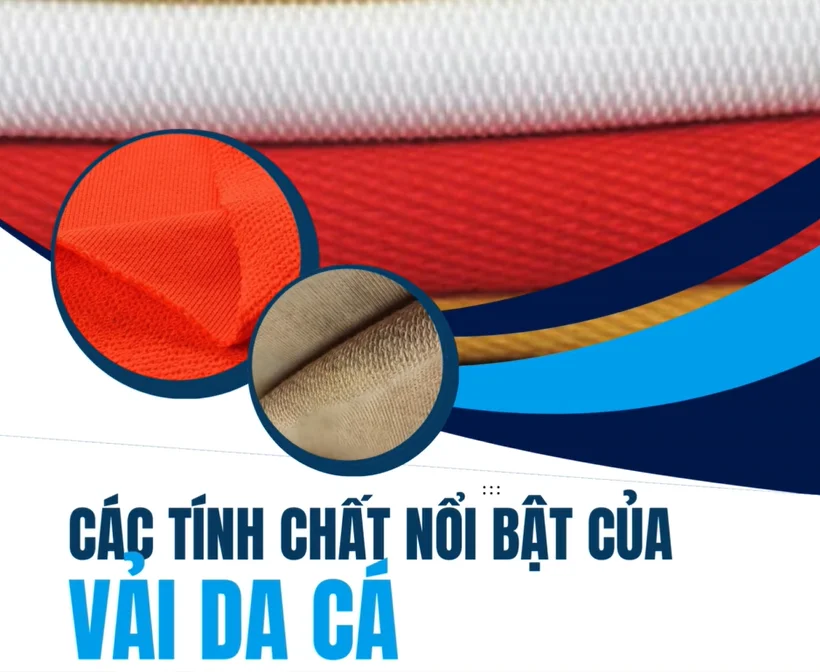 CÁC TÍNH CHẤT NỔI BẬT CỦA VẢI DA CÁ