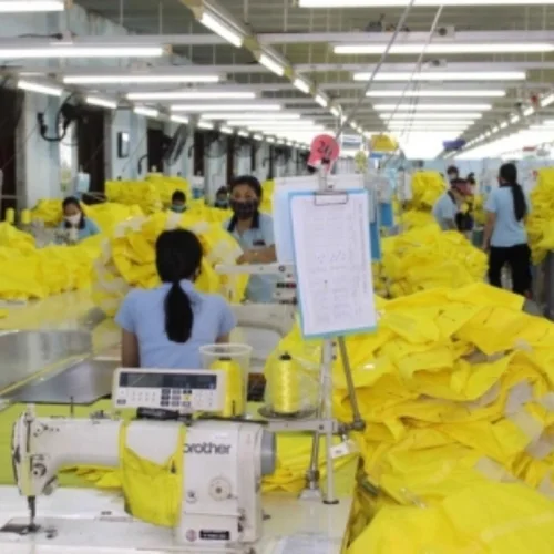 Dệt may Gia Định bị dừng làm thủ tục hải quan do nợ tiền thuế gần 100 tỷ đồng