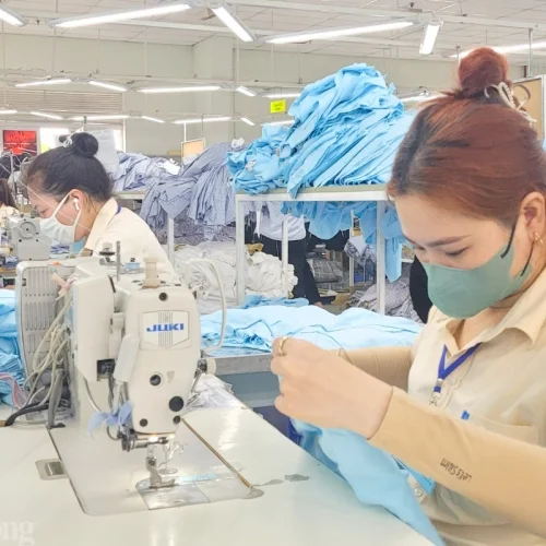 Ngành Dệt May: Nhu Cầu Về Chính Sách Tín Dụng Linh Hoạt Hơn