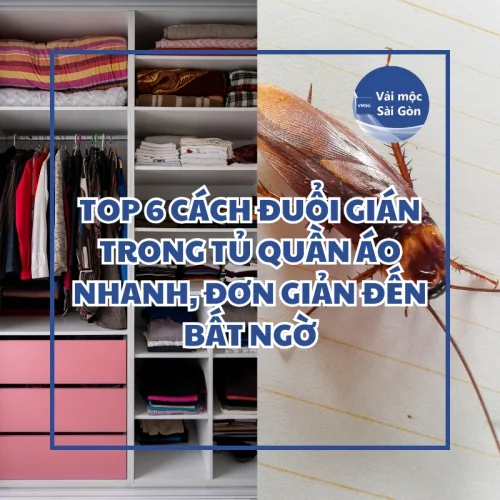 Top 6 cách đuổi gián trong tủ quần áo nhanh, đơn giản đến bất ngờ