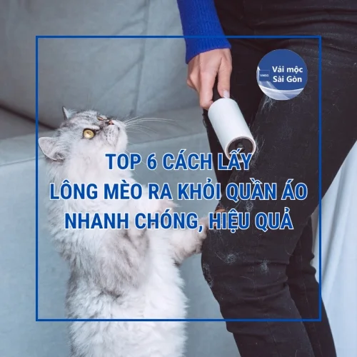 Top 6 cách lấy lông mèo ra khỏi quần áo nhanh chóng, hiệu quả